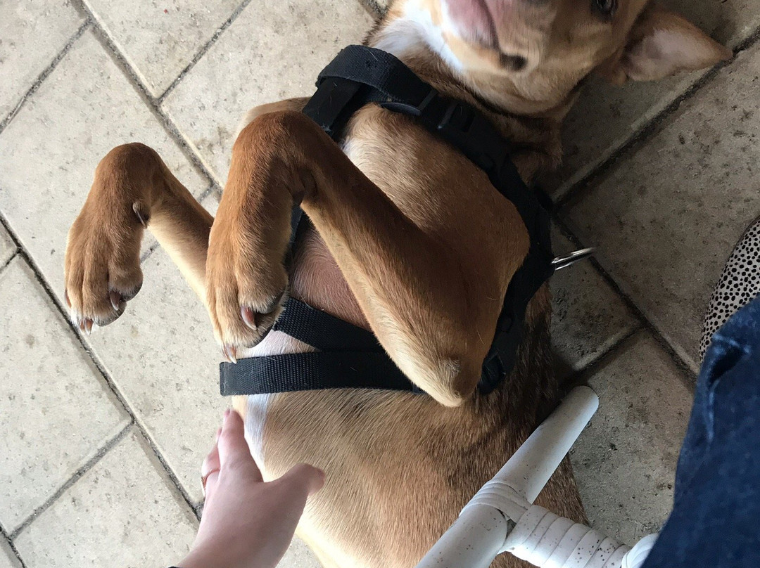 Kellers Bed & Breakfast主图