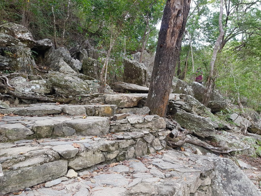 Wujal Wujal Falls-Bloomfield必去景点