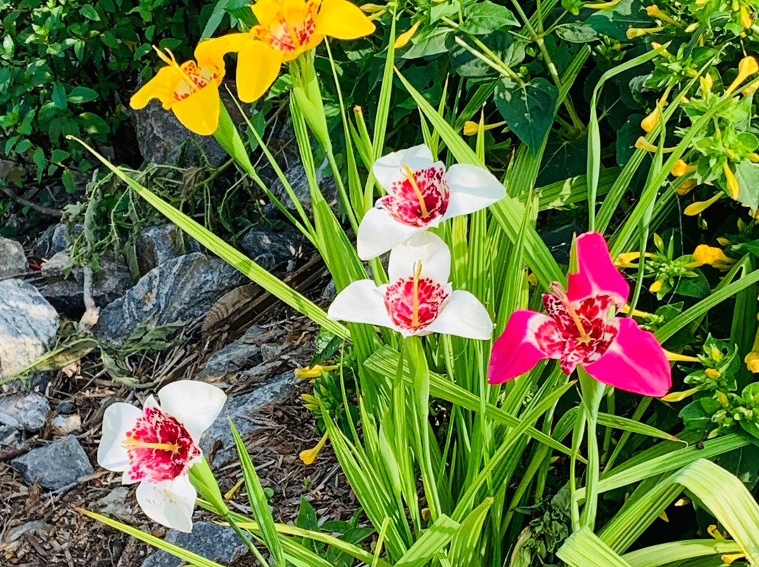 Lake Junaluska Golf Course-韦恩斯维尔必去景点