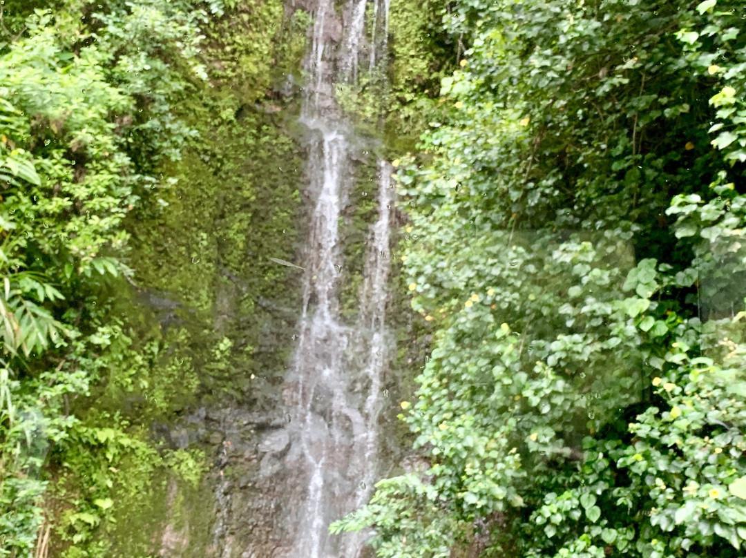 Dynamic Tour Maui-怀露库必去景点