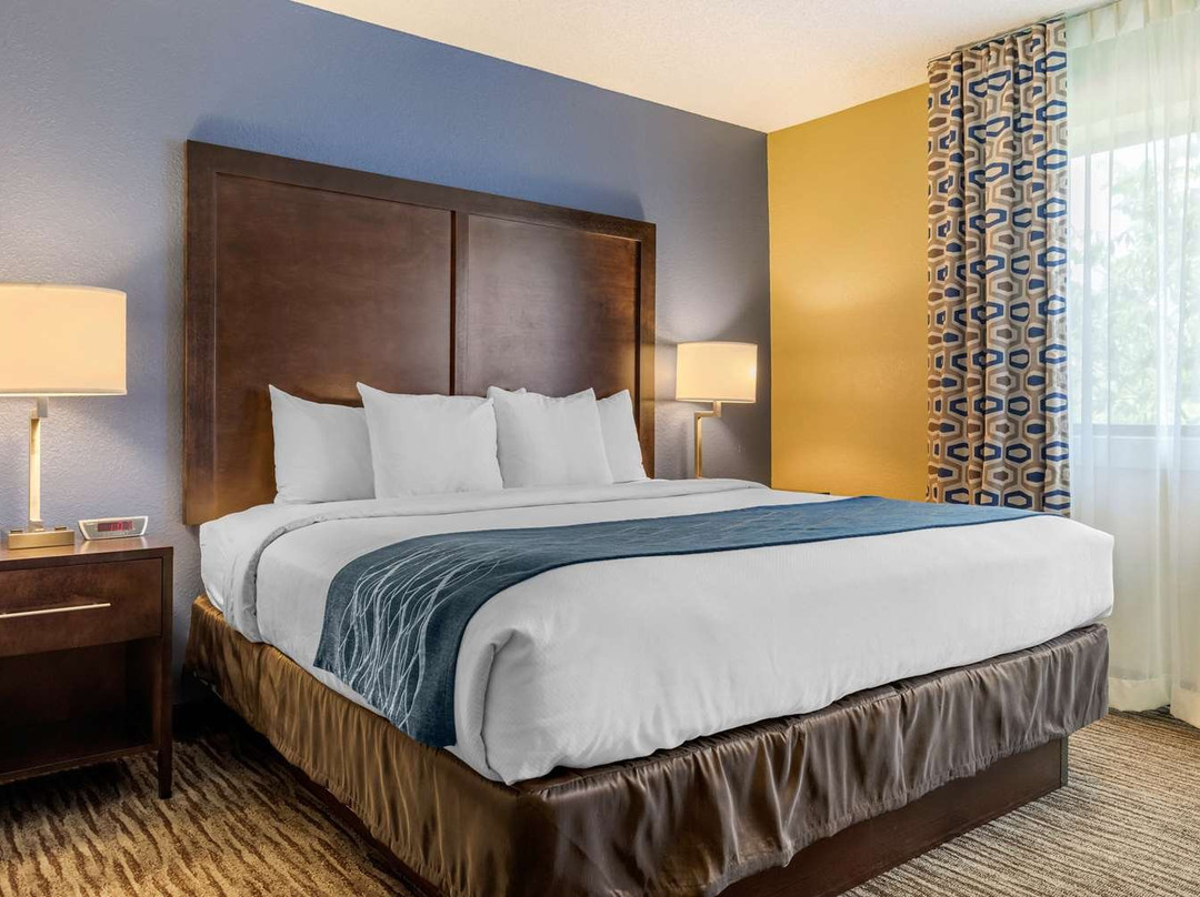 Comfort Inn Arlington Heights-O'Hare Airport主图