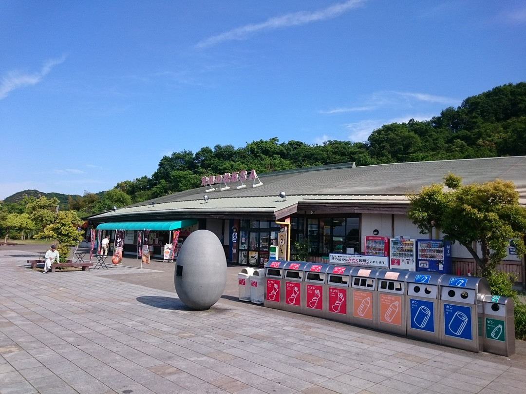 Tsudano Matsubara Service Area Outbound景点图片