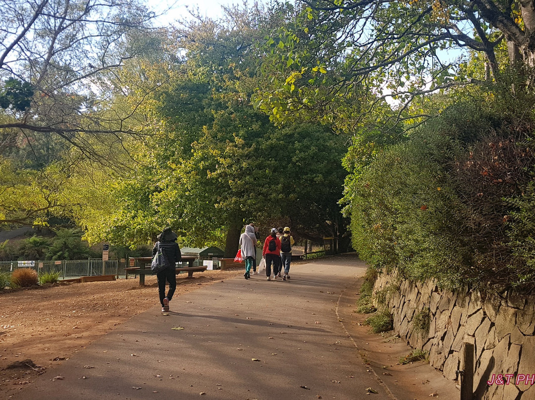 Emerald Lake-Emerald必去景点
