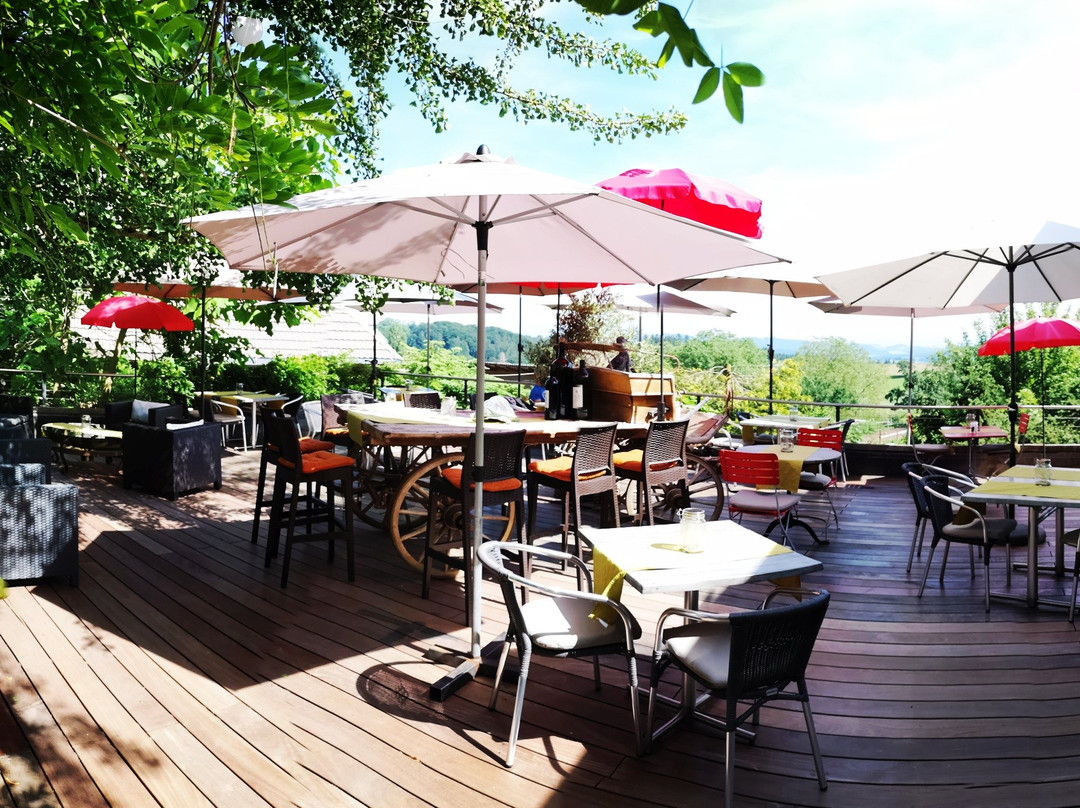 Sariswil旅游攻略图片