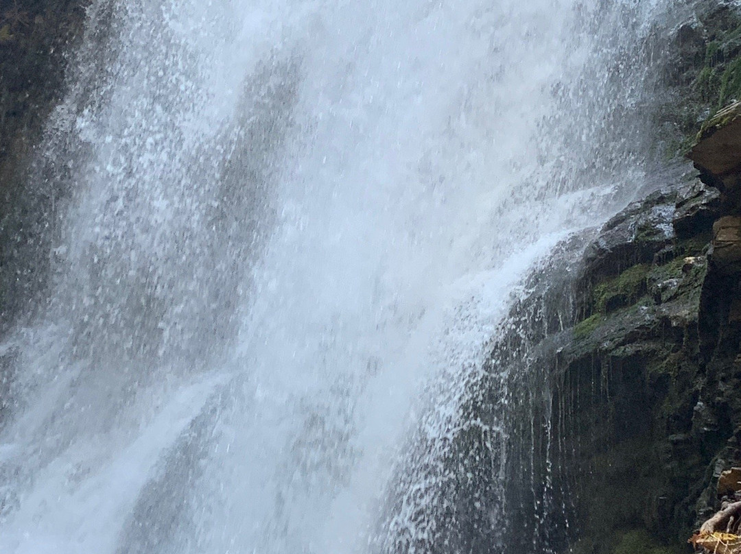Fletcher Falls-Kaslo必去景点