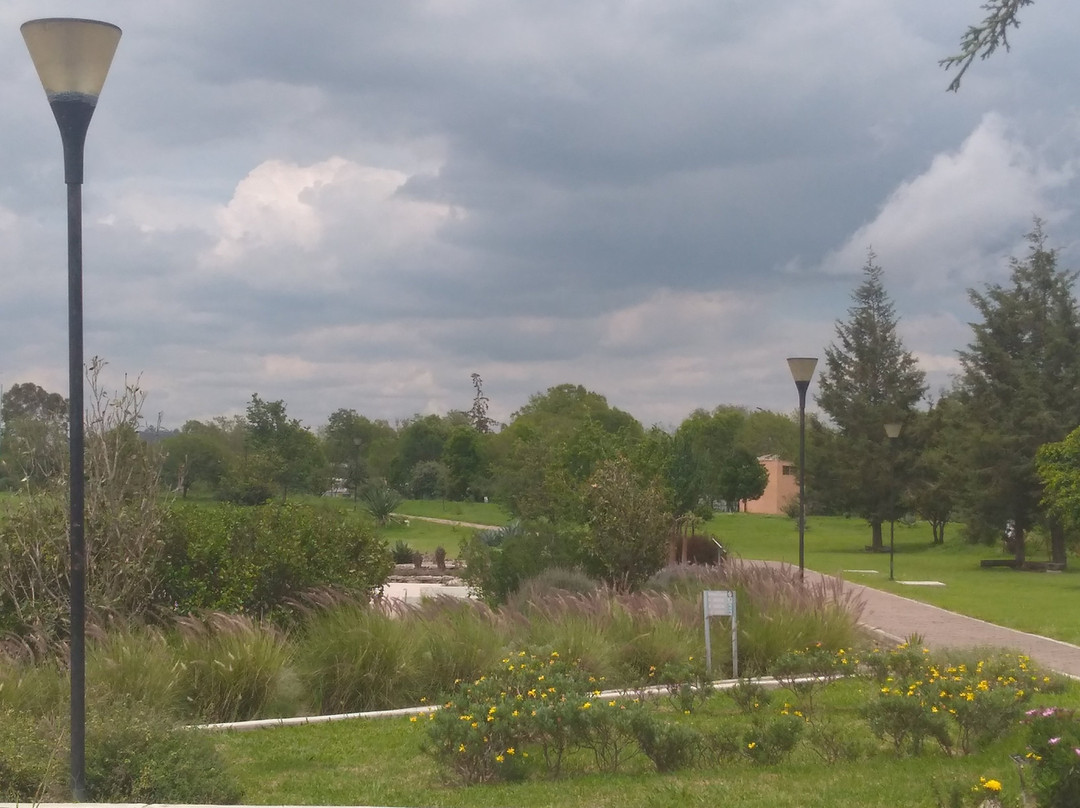 Jardín Botánico Universitario Buap景点图片