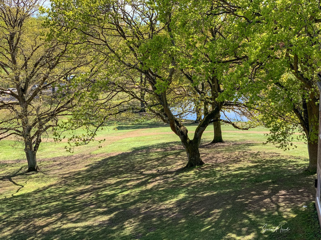 Aarhus Universitet-欧胡斯必去景点