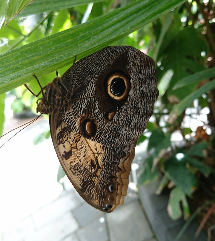 Portsmouth Natural History Museum-普兹茅斯必去景点