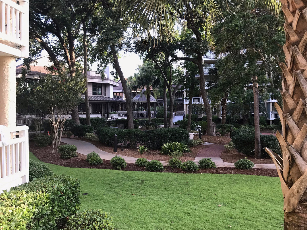 希尔顿头岛希尔顿海滨度假村主图