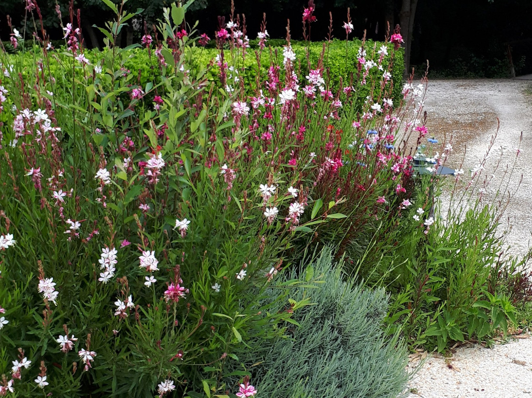 湖花园酒店主图