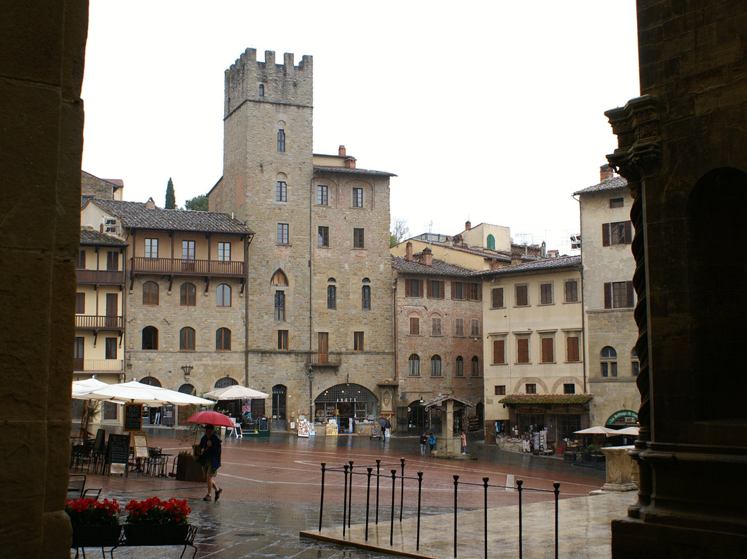 Piazza Grande景点图片