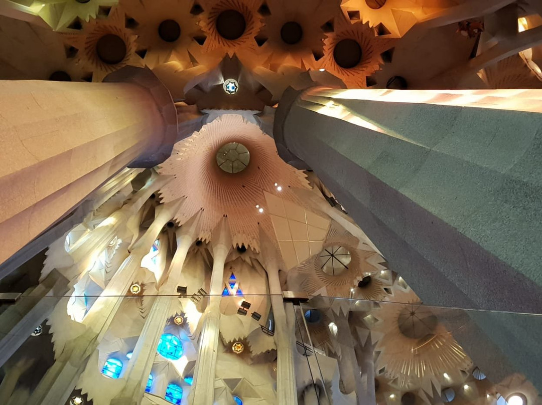 Sagrada Familia Tours景点图片