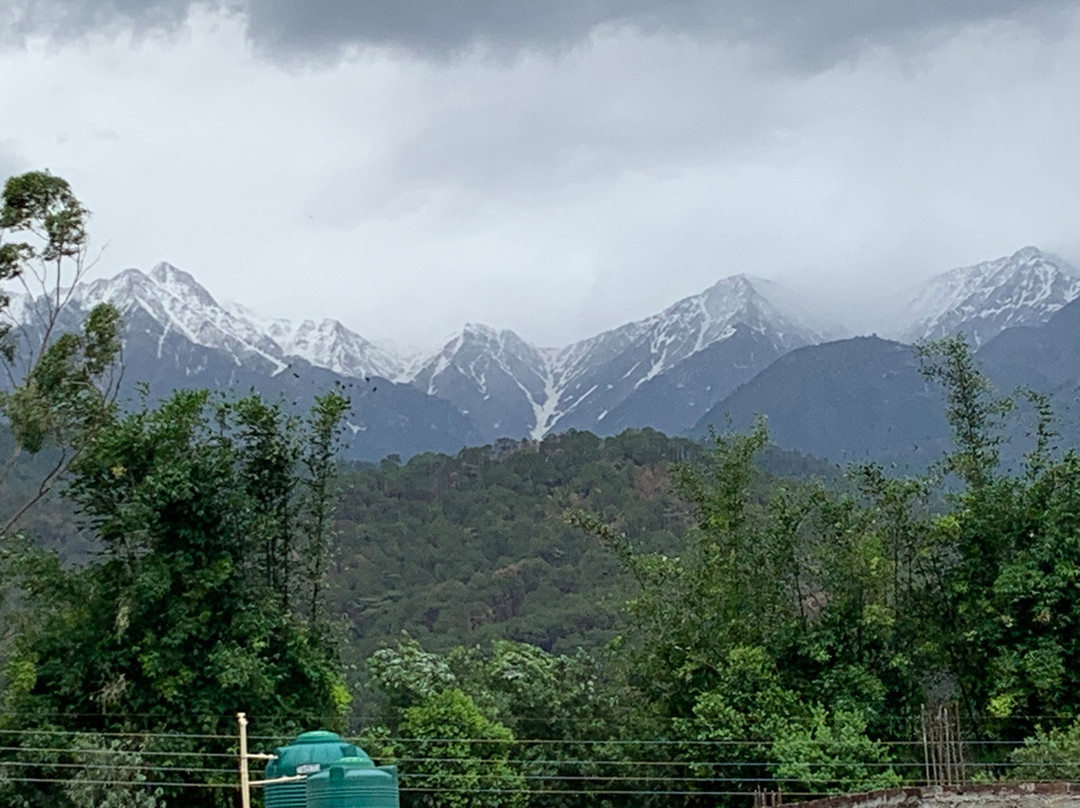 Budha Mal Castle主图