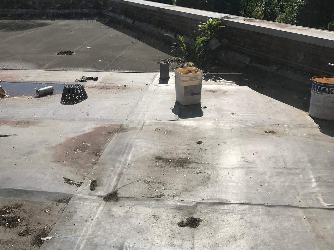 斯坦福希尔顿恒庭旅馆&套房酒店主图