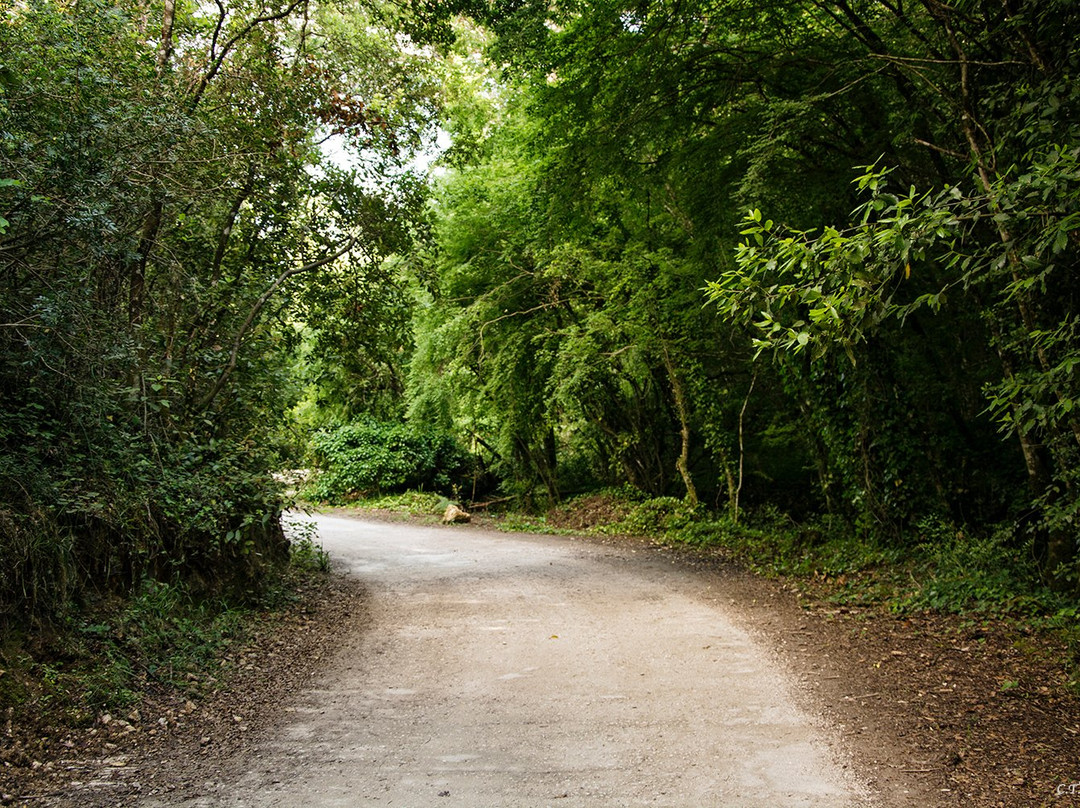 Silvaland-Kalafationes必去景点