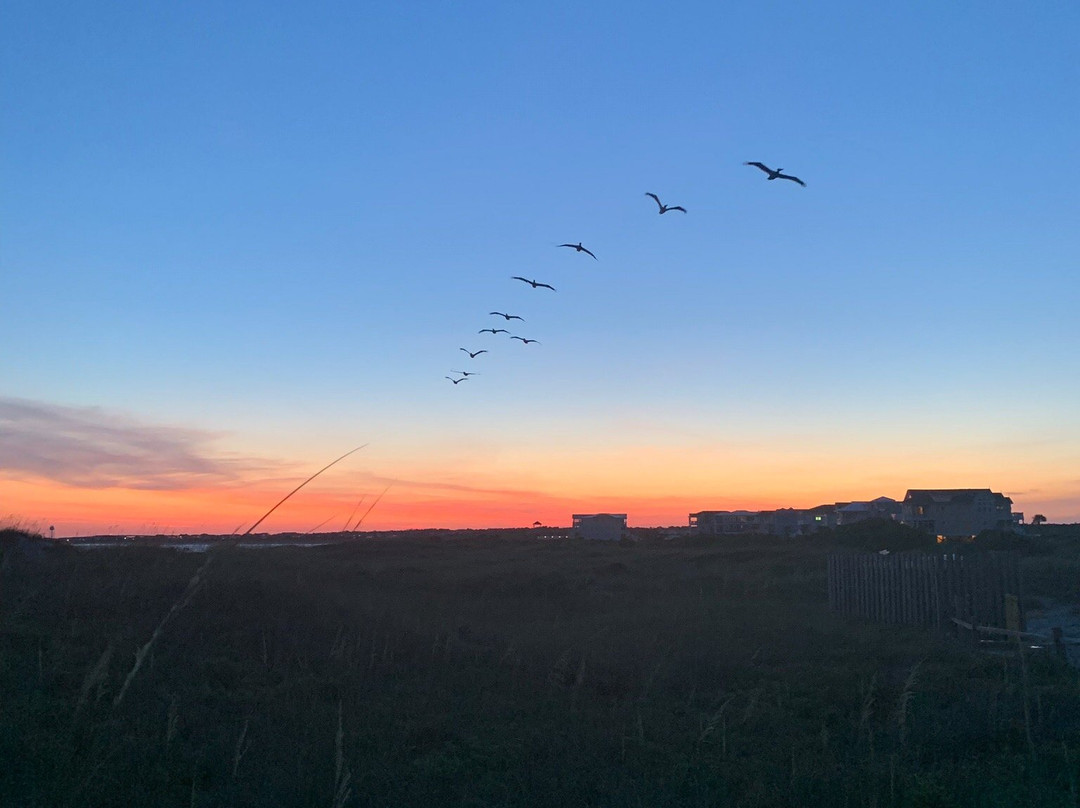 The Point-Oak Island必去景点