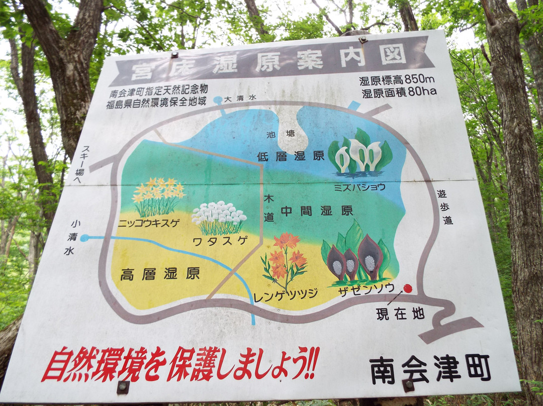 Miyatoko Wetland景点图片