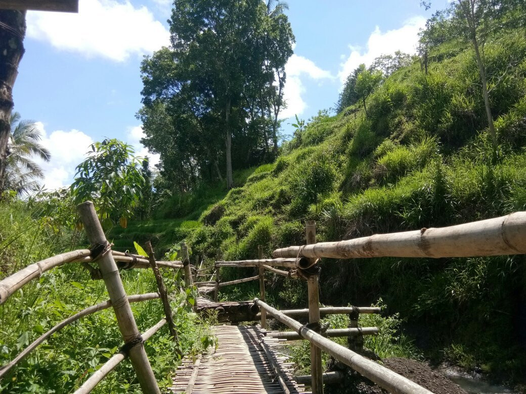 Kedung Kandang Waterfall景点图片