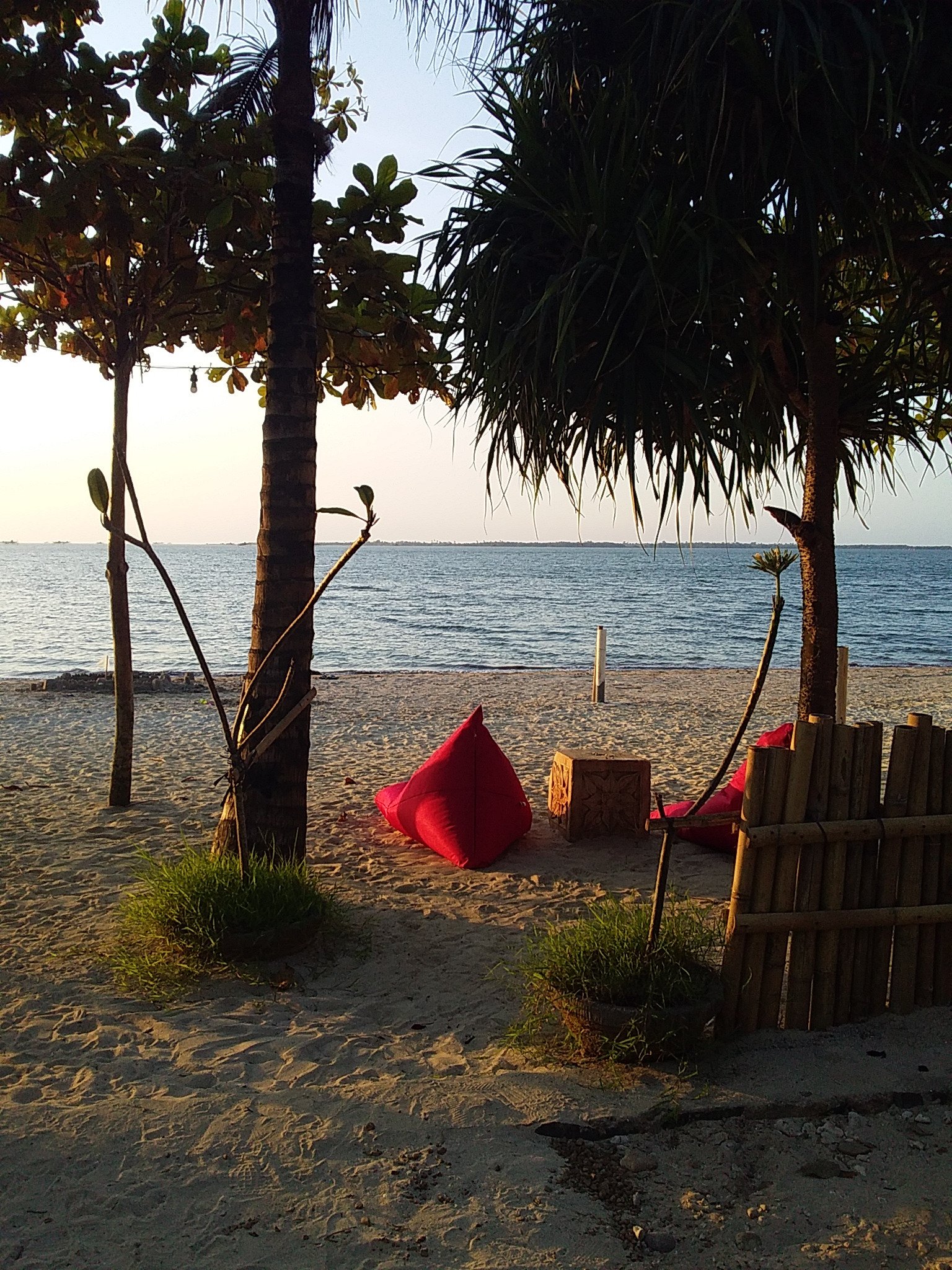 Coconut Lodge Resort-泳池