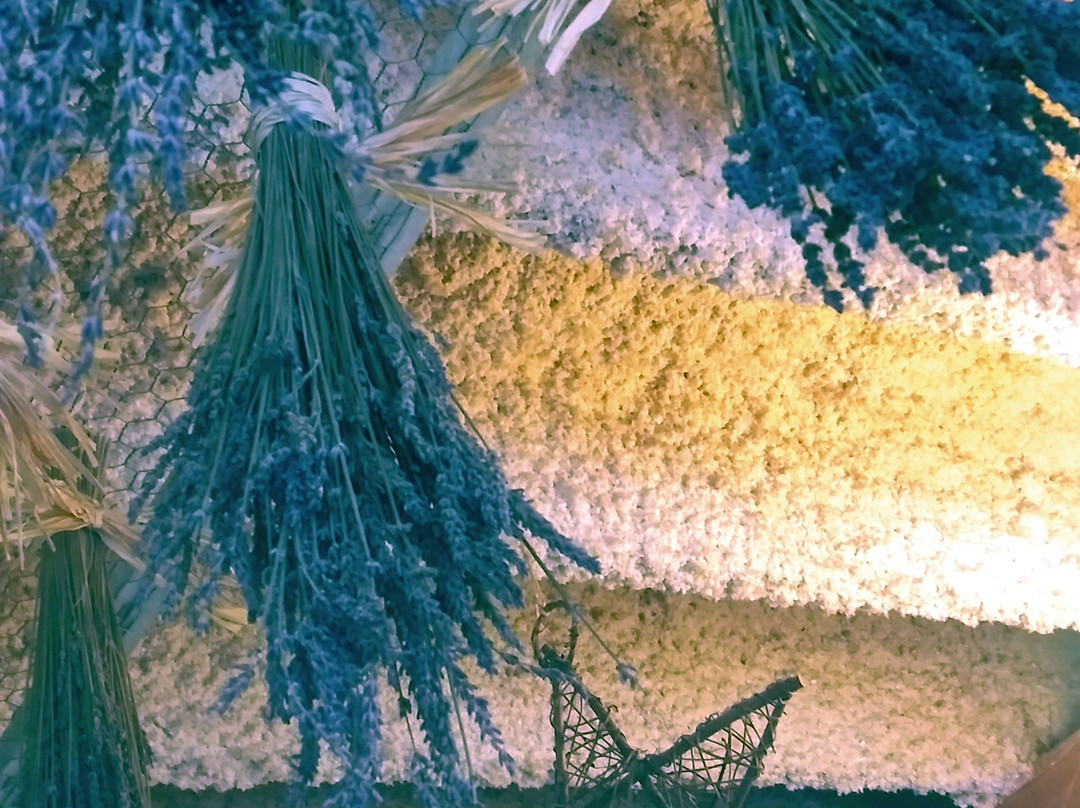 Peace Valley Lavender Farm景点图片