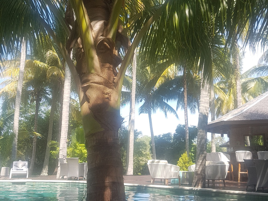 Virgin Cocoa - Tropical Hideaway Island主图