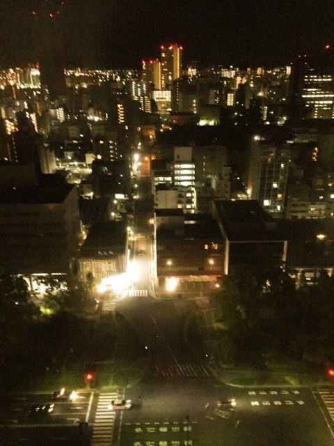 广岛三井花园酒店-portrait