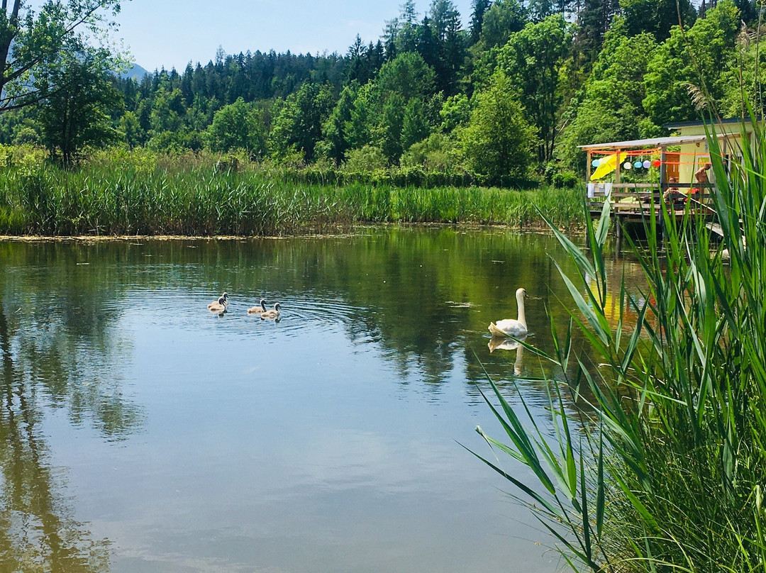 Appartementhotel Rutar Lido主图