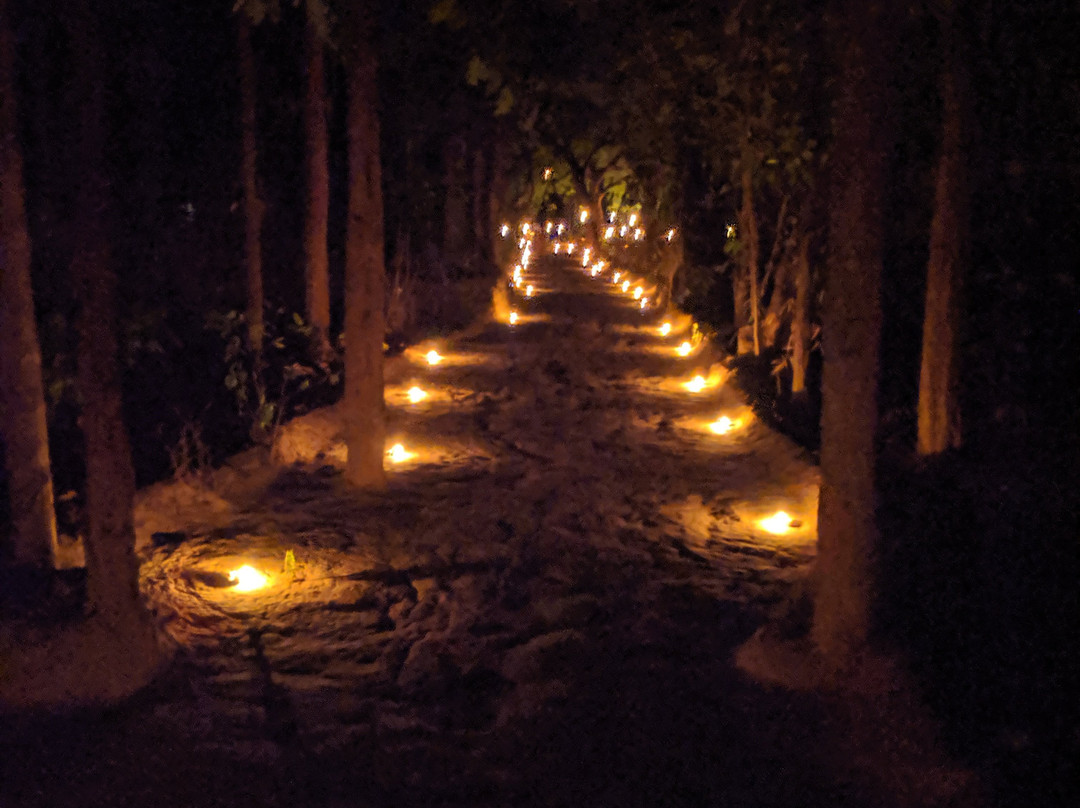 Kanha Jungle Lodge主图