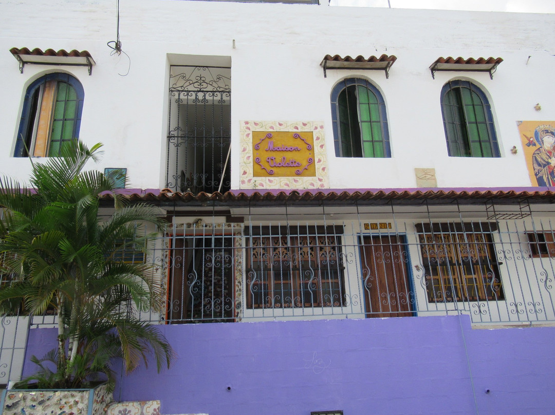 La Maison Violette主图