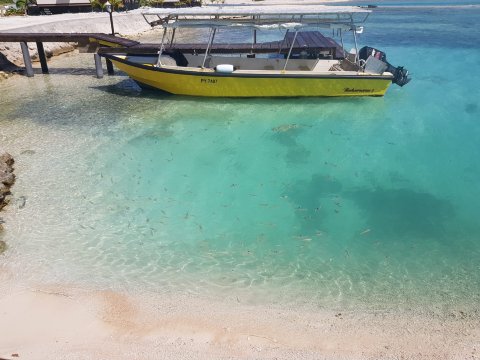 Hakamanu Lodge-泳池
