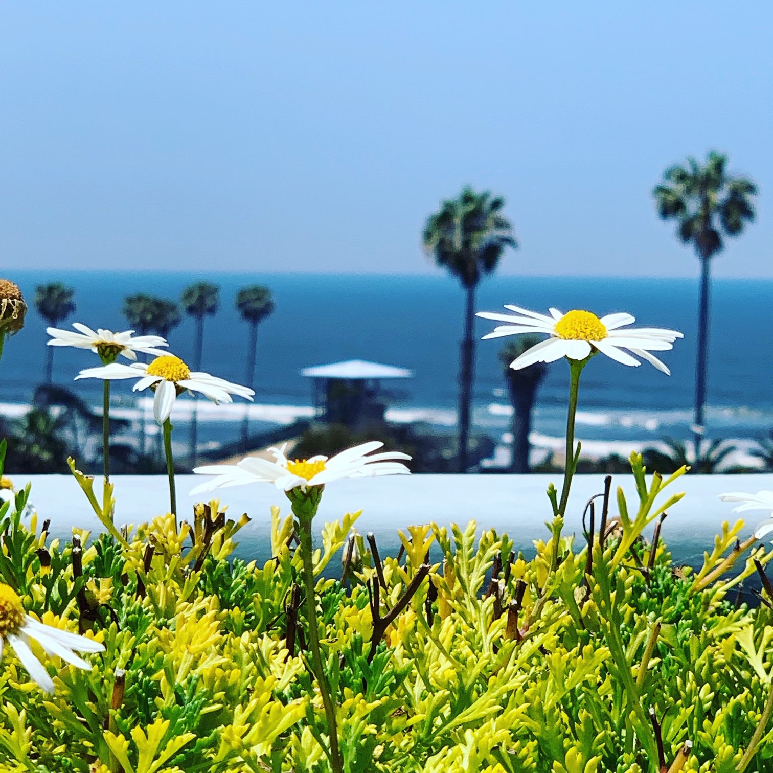 Cardiff By The Sea Lodge-浴室