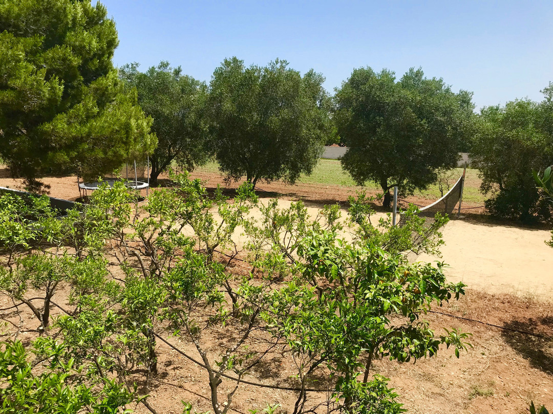 Resort Naturista Grottamiranda主图