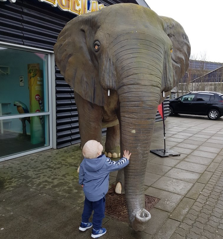 Leo's Legeland Aalborg-奥尔堡必去景点