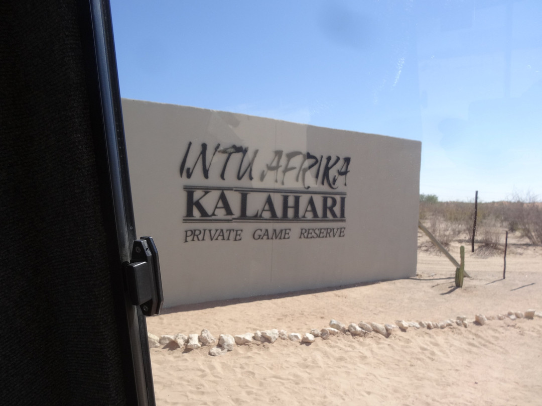 Suricate Kalahari Tented Lodge主图