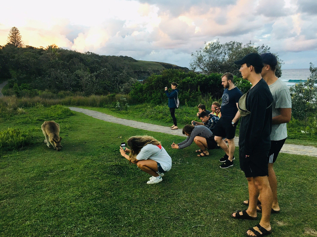 奥斯特尔背包客旅舍