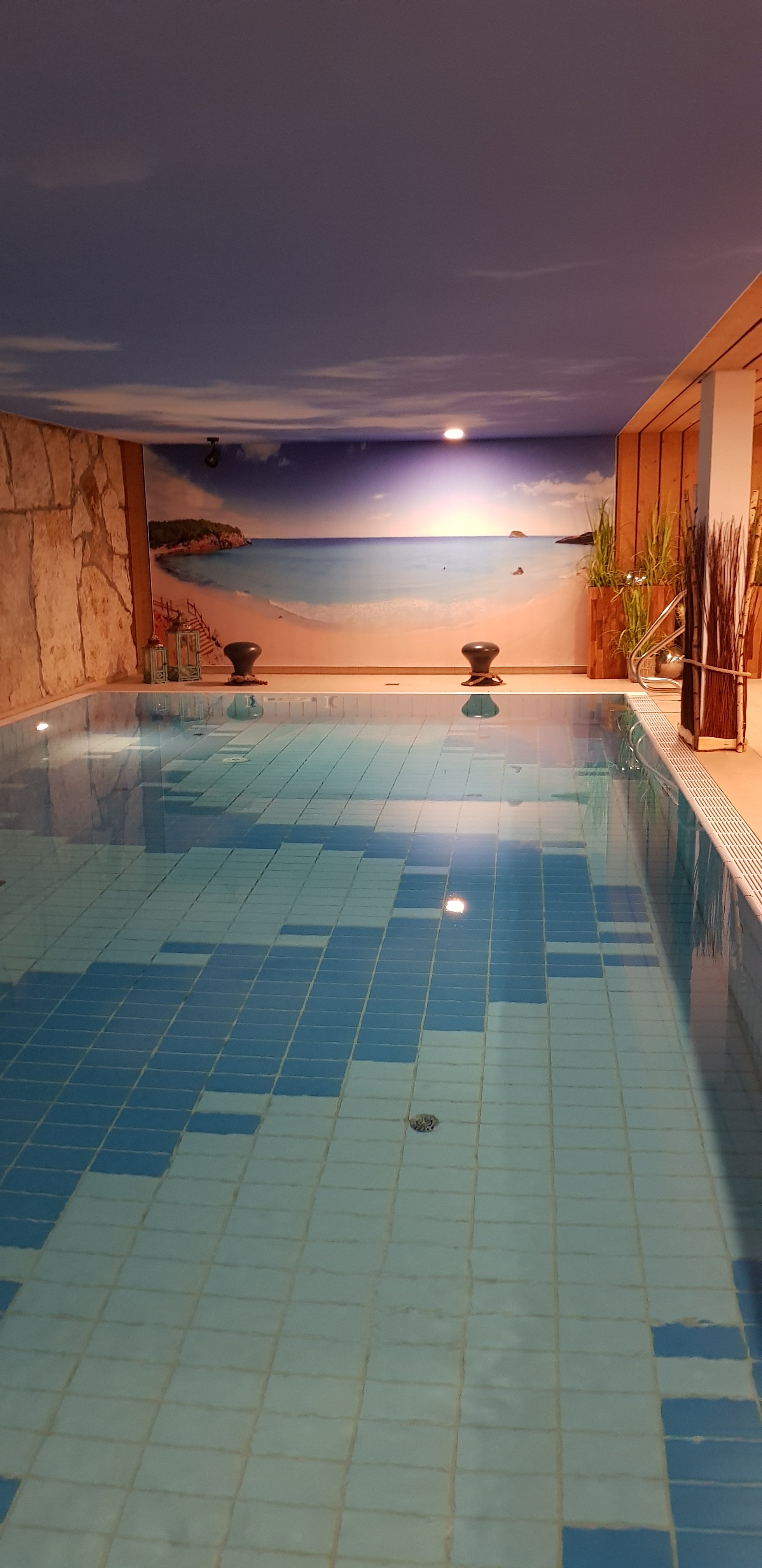 Neo Hotel Linde Esslingen-泳池