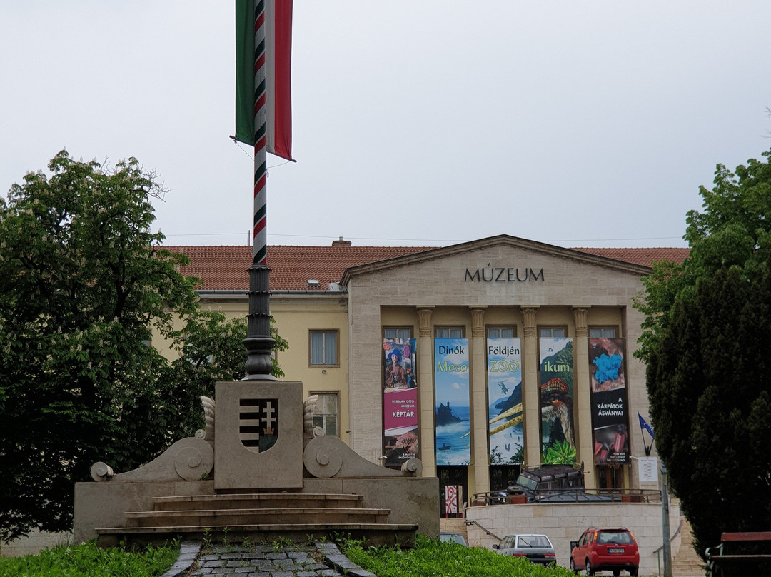Pannontenger Museum景点图片