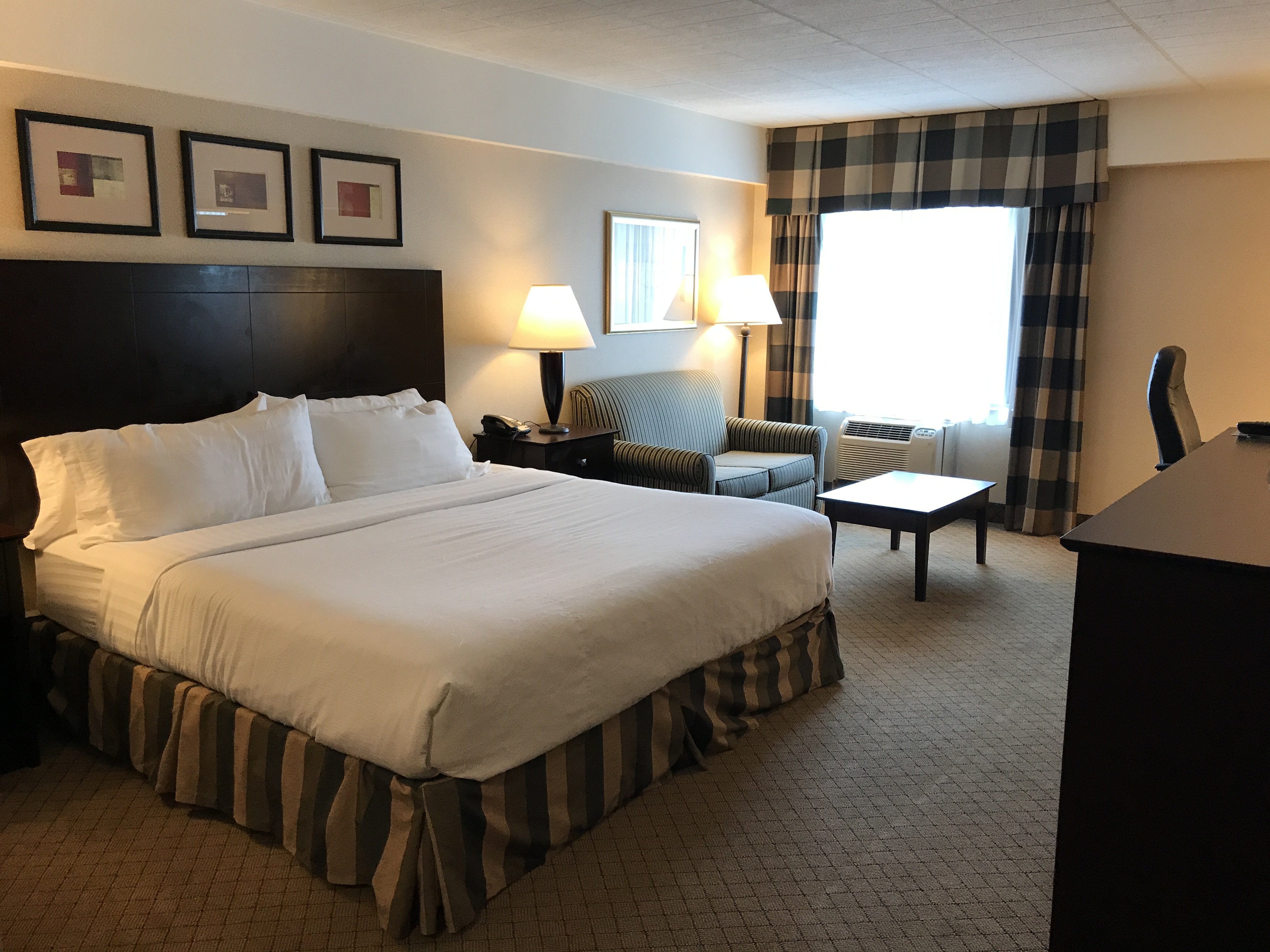 Holiday Inn Johnstown-Downtown, an IHG hotel-官方