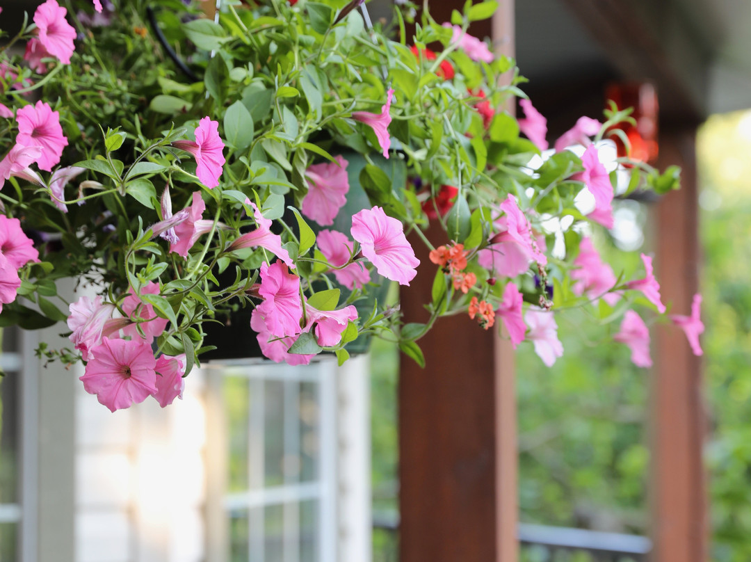 Hawley Place Bed and Breakfast主图