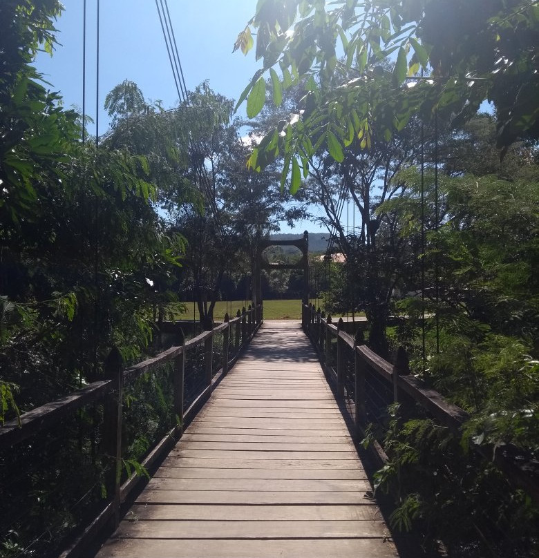 Dona Benta Suspension Bridge景点图片