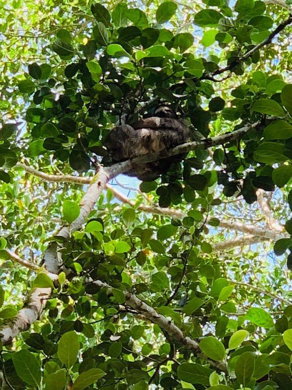 Tierra de Suenos Lodge主图