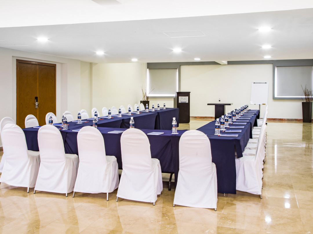 雷欧米纳斯吉快速主图