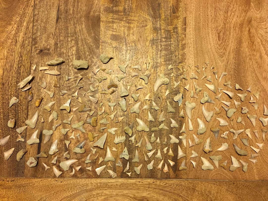 Ernst Quarries-贝克斯菲尔德必去景点