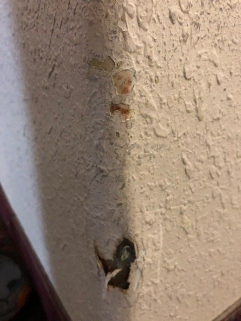 Quality Inn Kingsville Hwy 77主图