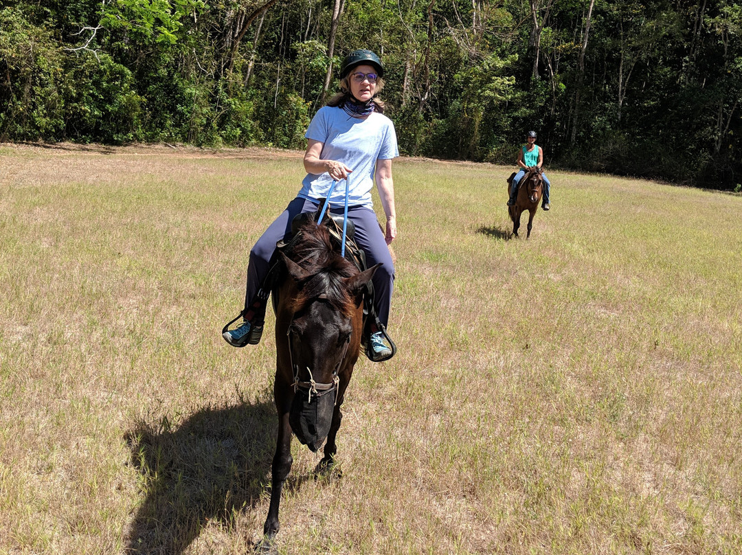 Discovery Horseback Tours景点图片