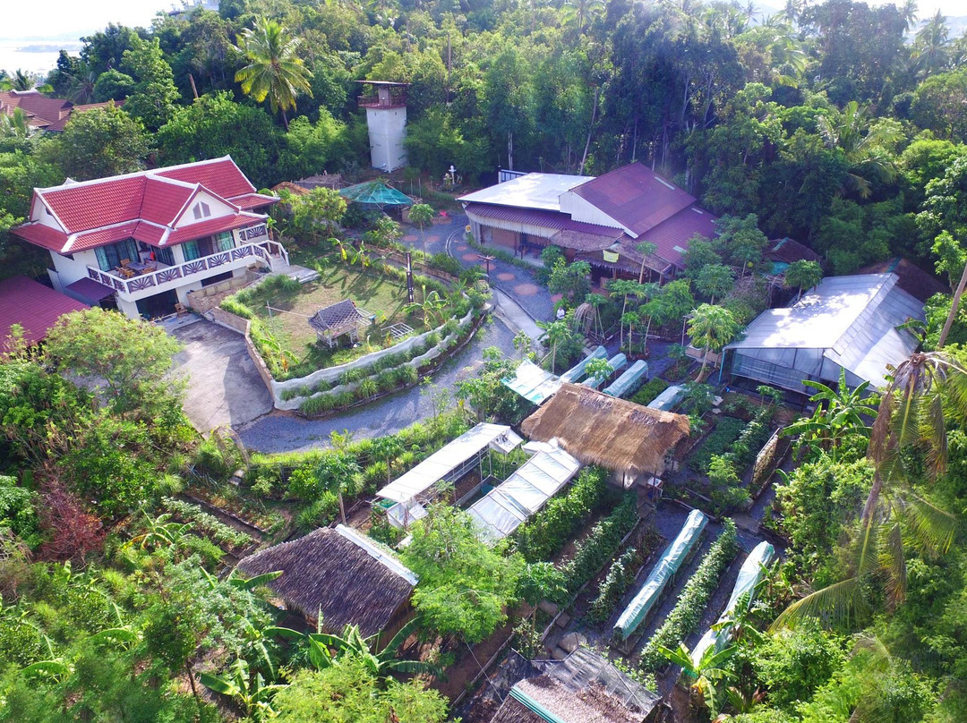 有机小岛泰式烹饪教室-查汶海滩必去景点
