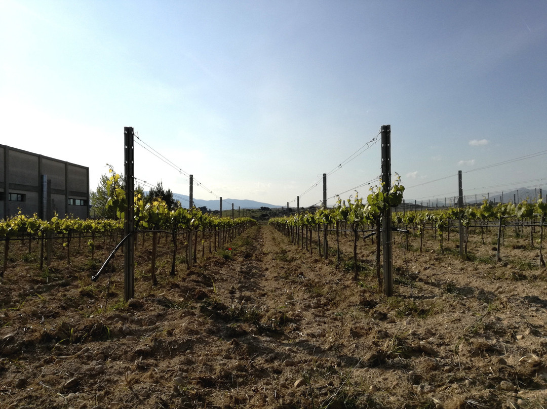 Papagiannakos Winery-Markopoulo Mesogeas必去景点