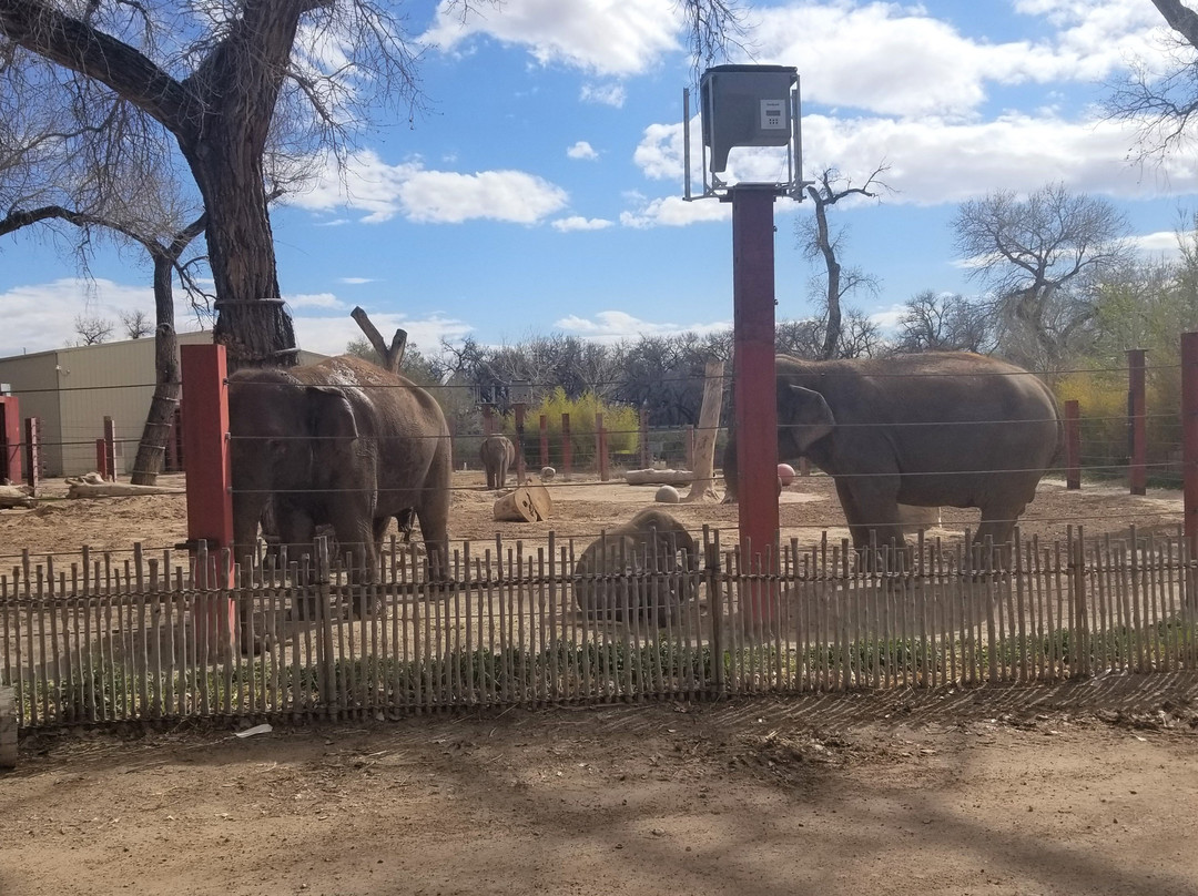 ABQ BioPark Zoo景点图片