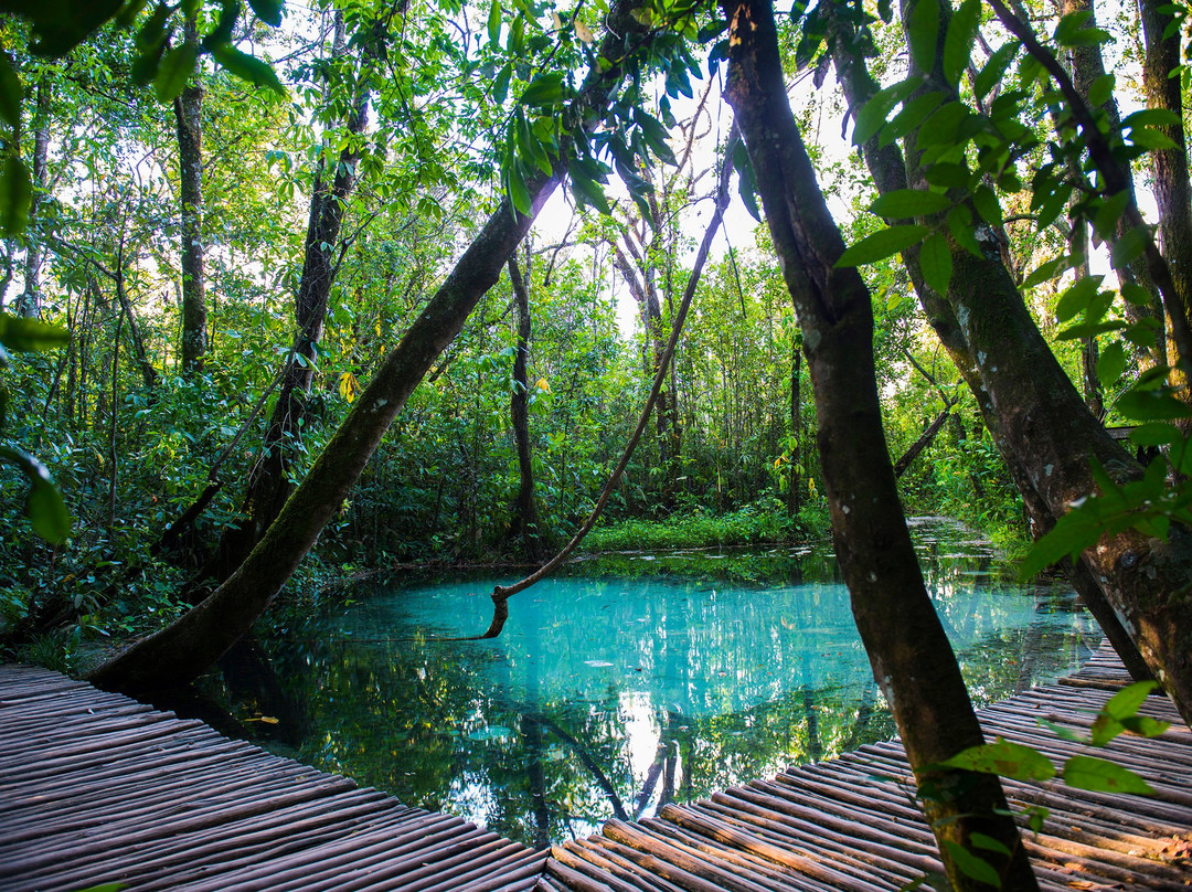 Brotas酒店住宿-Hotel Fazenda Areia que Canta