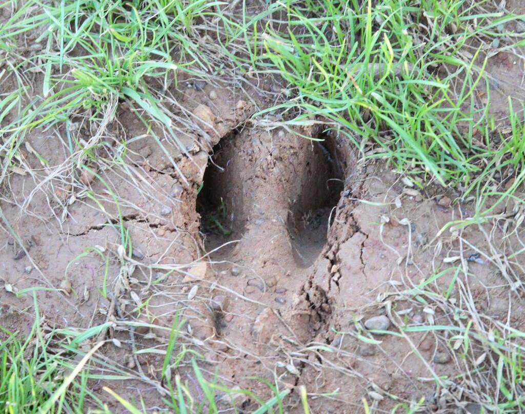 Nature's Design Rv Park